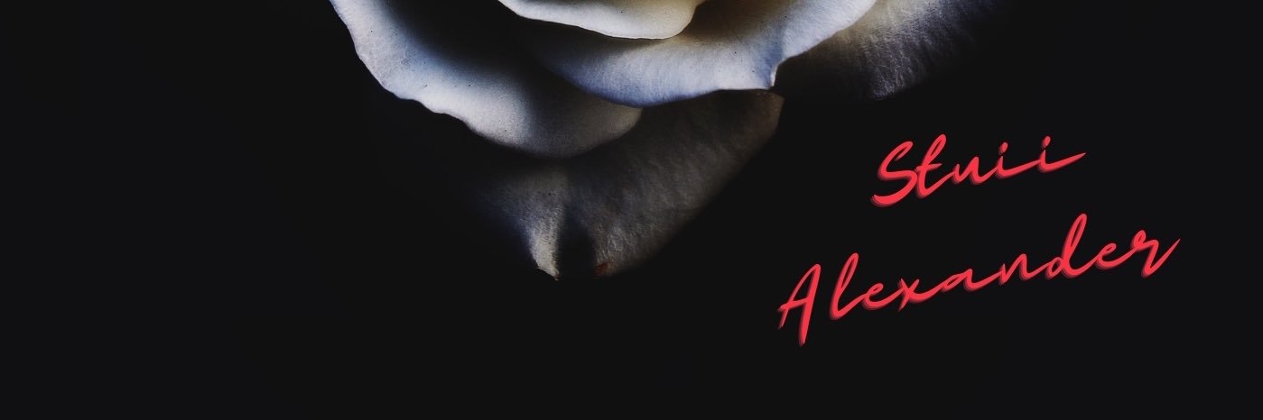 StuiiAlexander's profile banner image