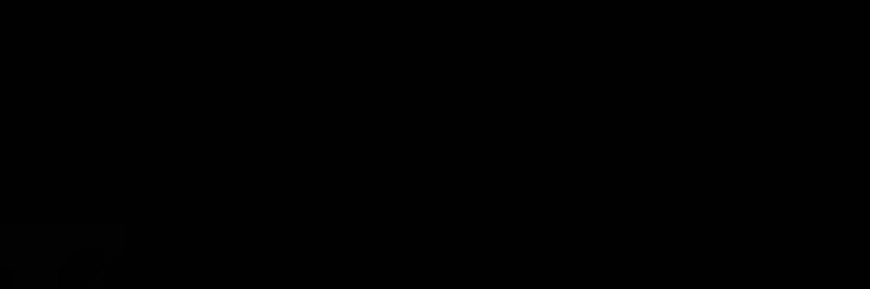 Chisu banner