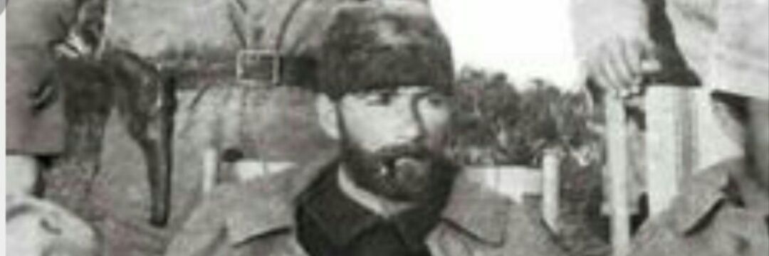 pinargull0's profile banner image