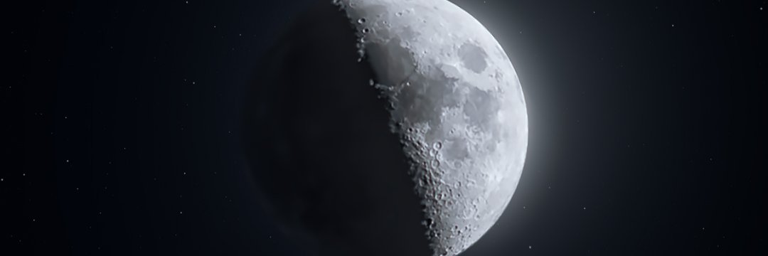 tankaanc's profile banner image