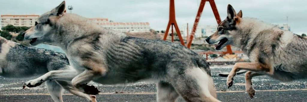 Mauro Martínez banner