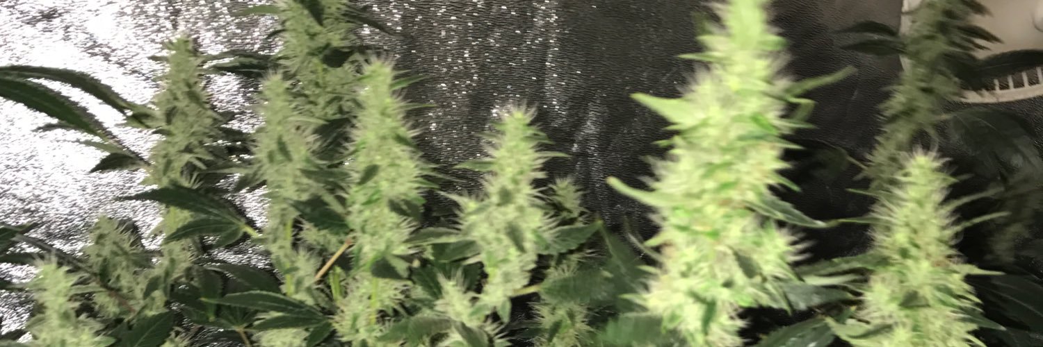 jayy_will69uhrd's profile banner image