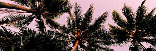 Jose_Aguilera's profile banner image