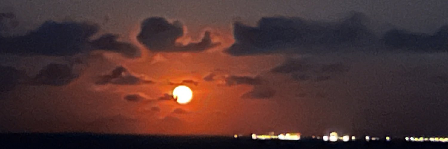 Luis Brito banner
