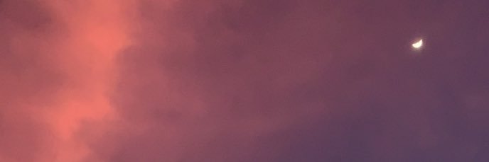 rdewisuci's profile banner image