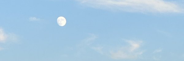 IrinaRinnalien Profile Banner