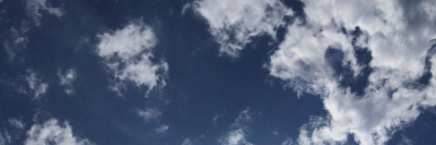 jen_noto's profile banner image