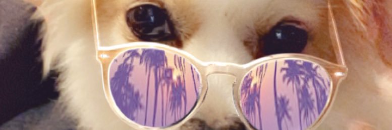 linngil's profile banner image