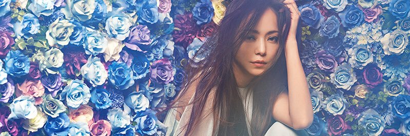 aya24_MSR's profile banner image