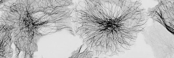 SamStehbens Profile Banner