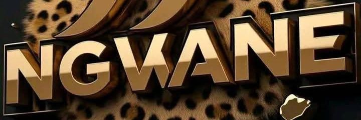 drngwane's profile banner image