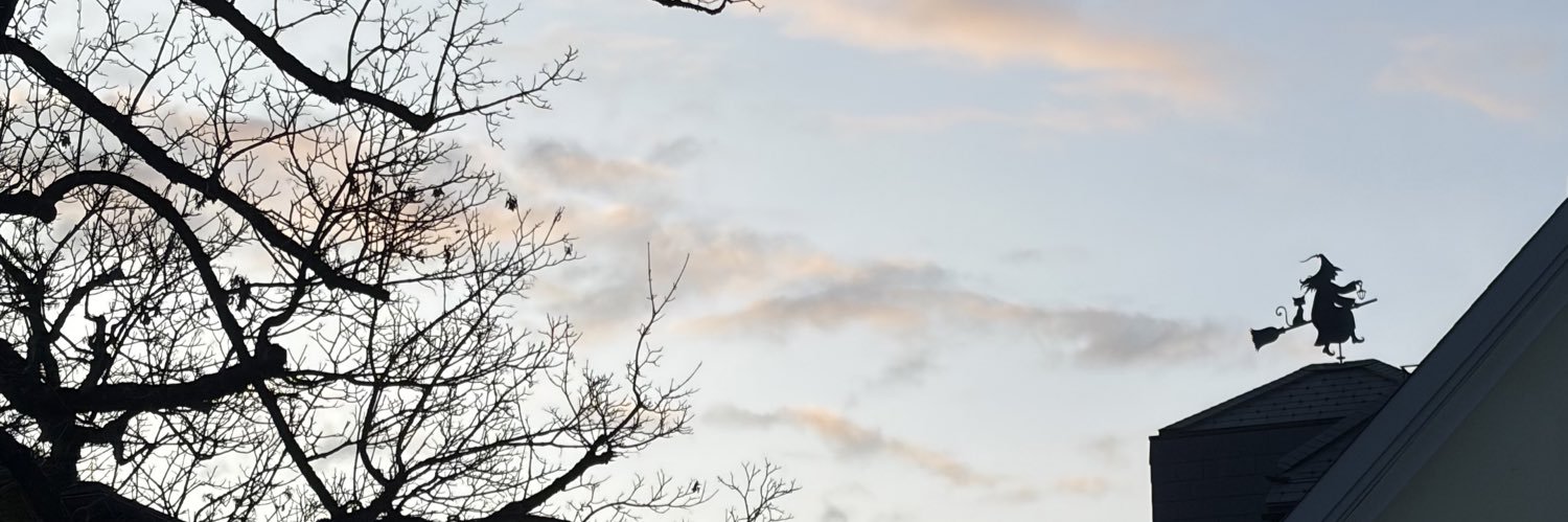 _Dasvidania's profile banner image