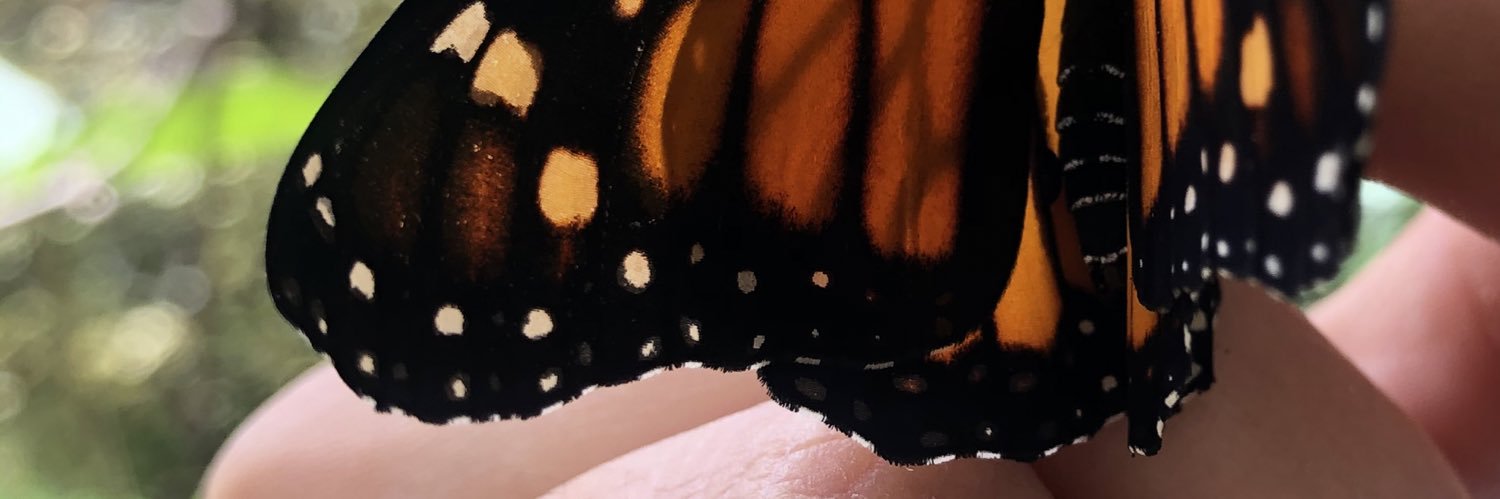 luchi 🦦 banner