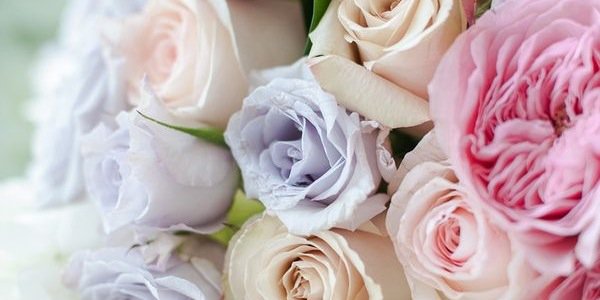 rahmarieandy's profile banner image