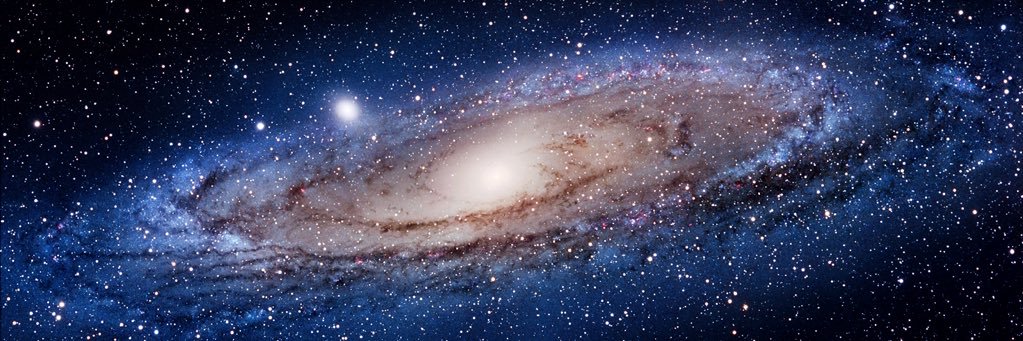 Patrick™ 🇨🇦🇺🇦 🌻 banner