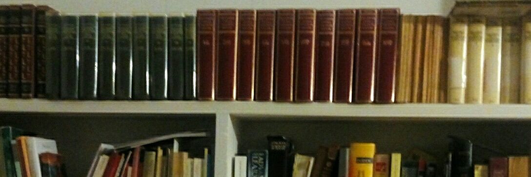 Josep E. Ribera banner