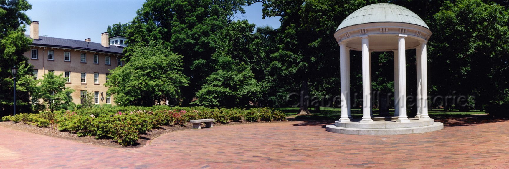 Dr. Rumay Alexander banner