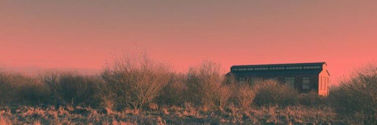 BoskeyCait's profile banner image