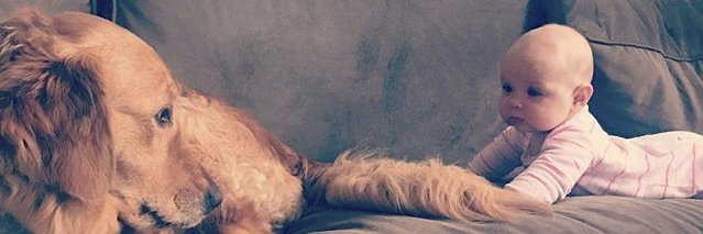 LoniMiller15's profile banner image