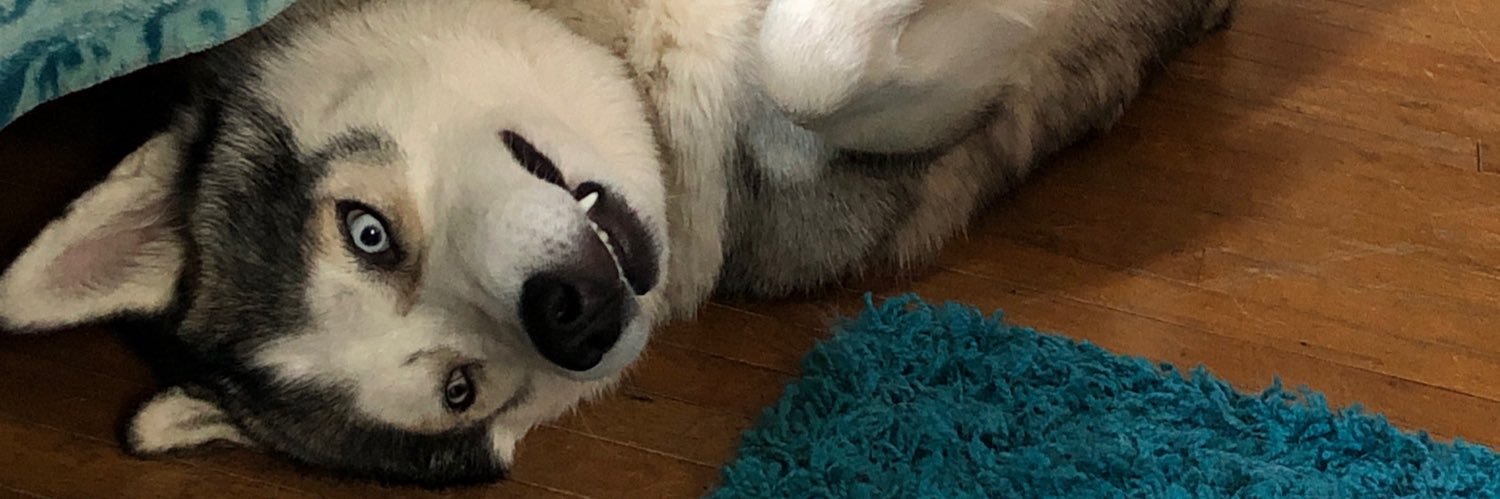 tedroot13's profile banner image