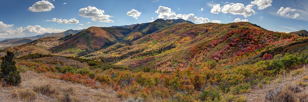 Utah Open Lands banner