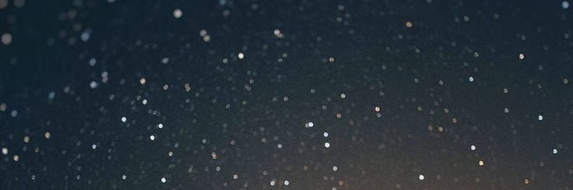 rosiodonnell's profile banner image