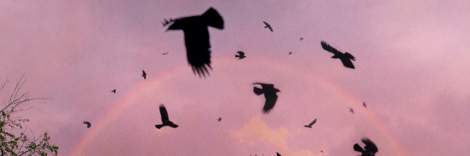 cedar___rapids's profile banner image