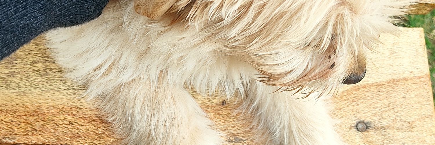 kristindaughter's profile banner image