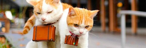 ihateevwrything's profile banner image
