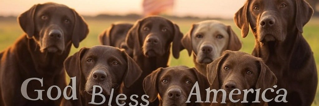 Jennifer Donaldson banner