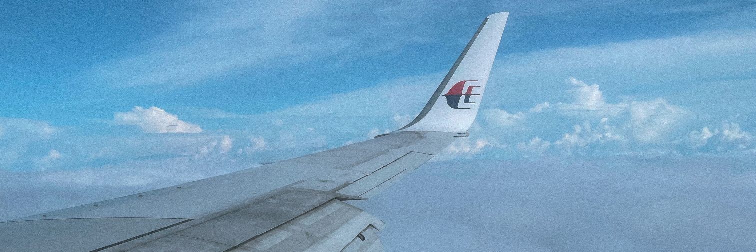 payednye's profile banner image