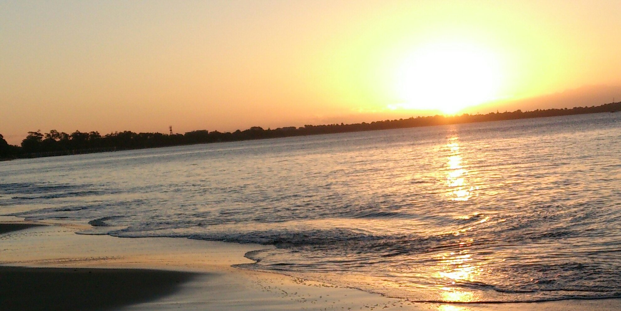 0903Dear's profile banner image