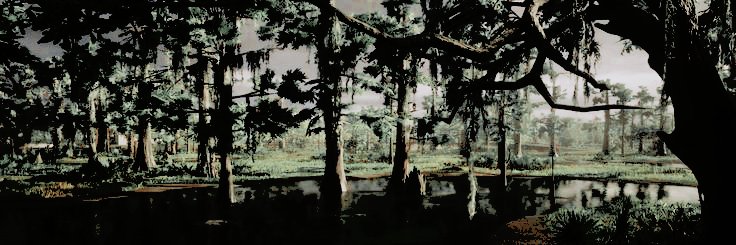 ‍ᅠ ‍ᅠꕀ ﹑stray ‍ᅠmutt. banner