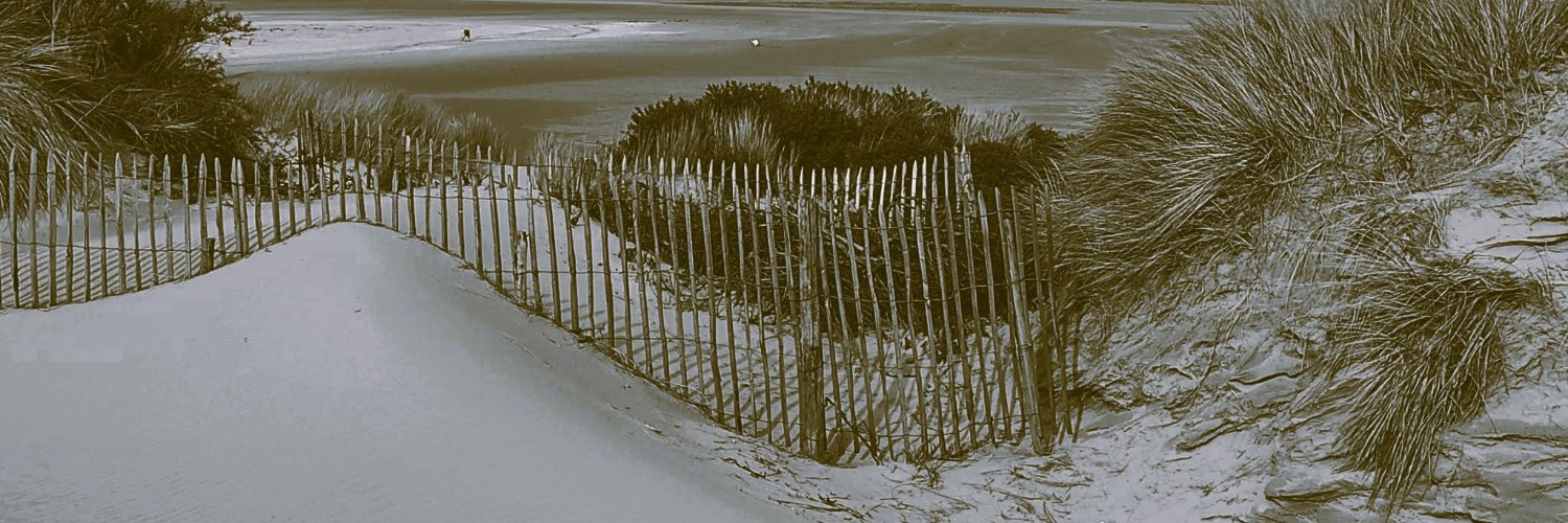 Muriel G.-P. banner