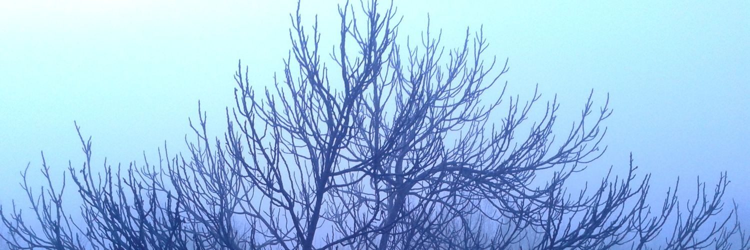 Pep Toni Troya banner