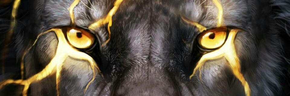Juantrmpt's profile banner image