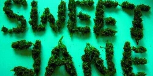 SweetJaneJones© banner