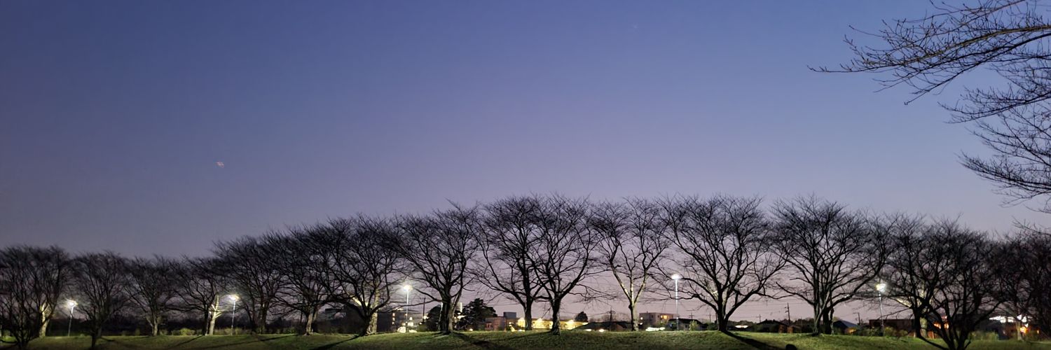 studymath1's profile banner image