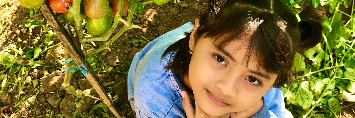 JayusAR's profile banner image