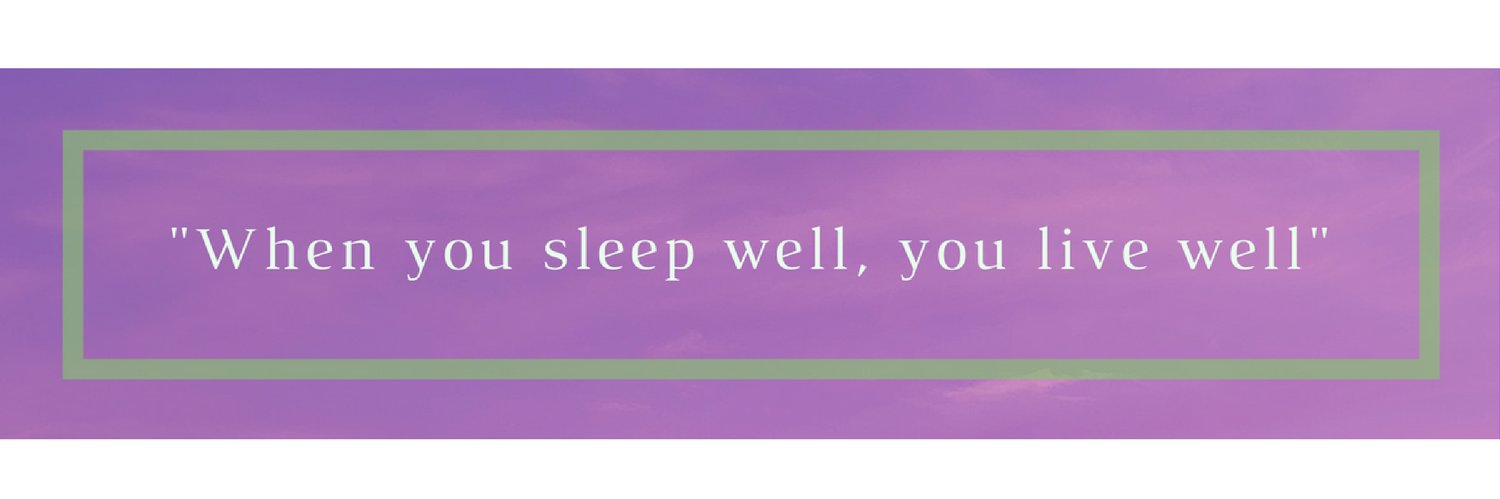 beatrixaschmidt's profile banner image
