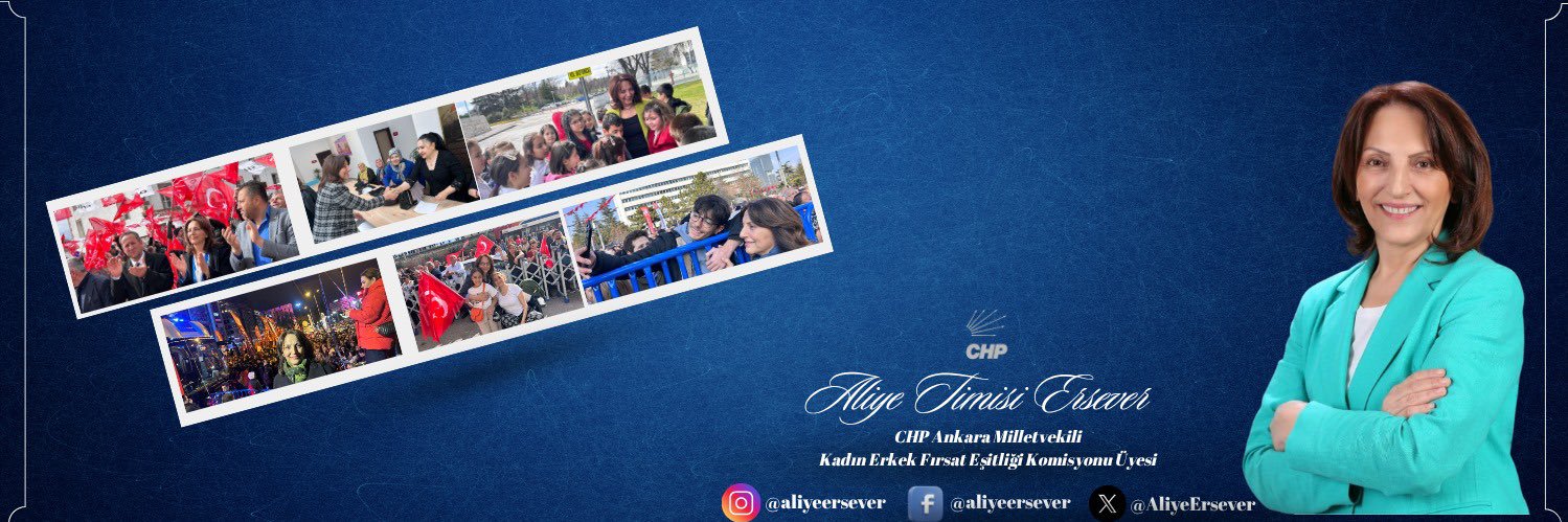 Aliye Timisi Ersever banner