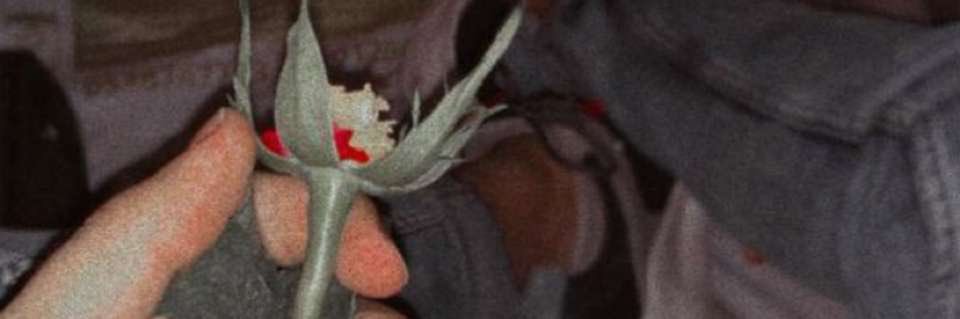 ‏𝑫𝑯𝑰𝑴 banner