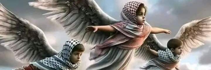 safeershareef banner