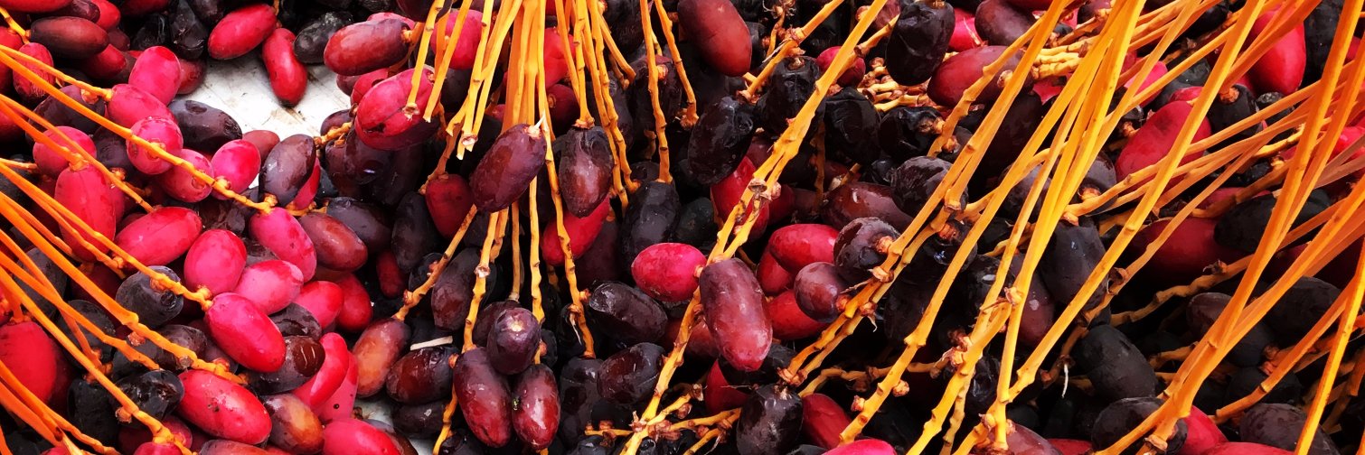 Ulrika Åkesson banner