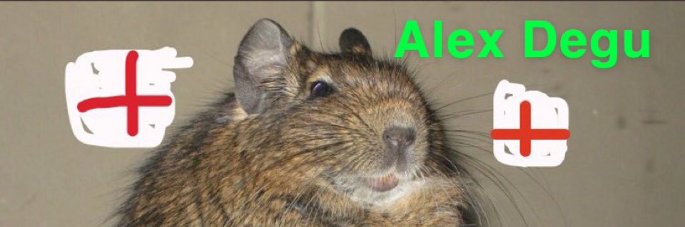 Alex Degu banner