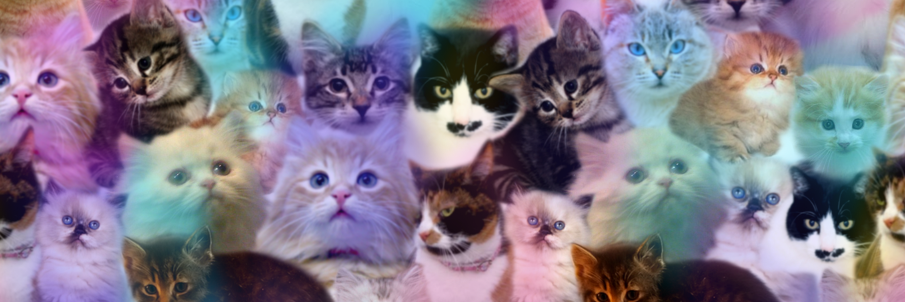 mademiaw's profile banner image