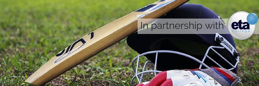 WebCricket banner