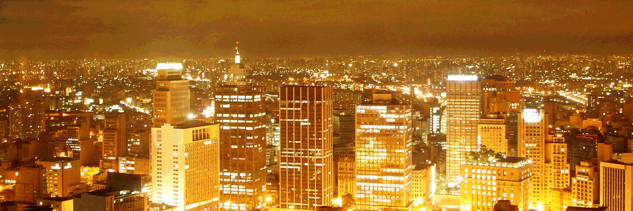 William Fidelis banner