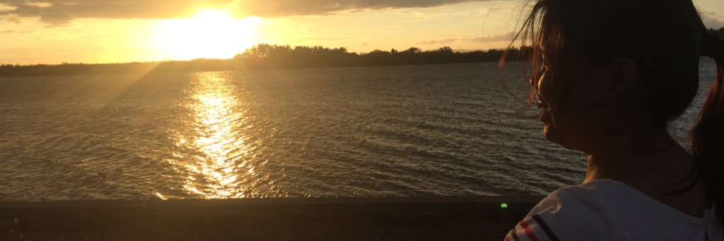 abrilroses's profile banner image