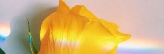 Victoria_Alyson's profile banner image